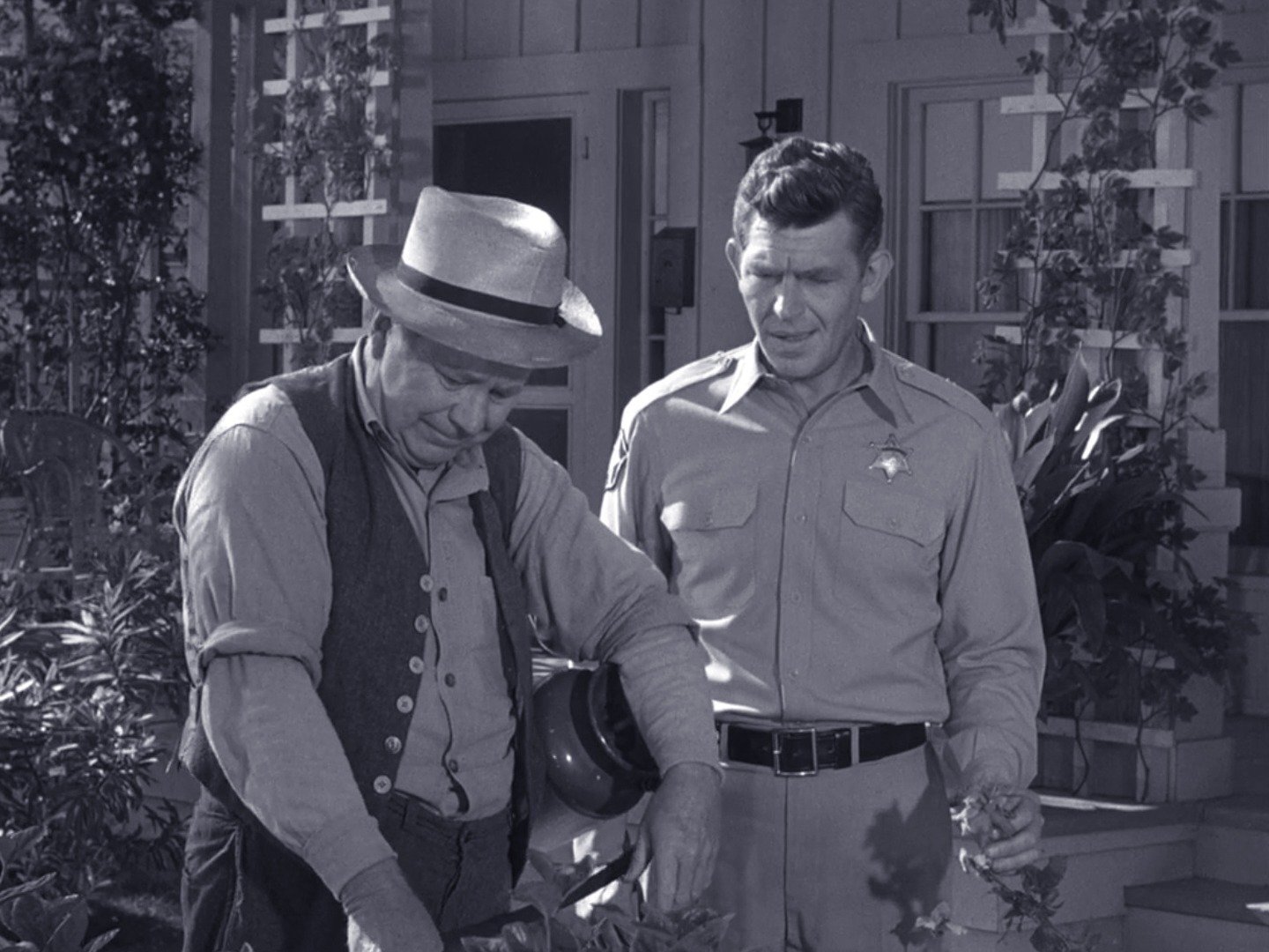 Series photo