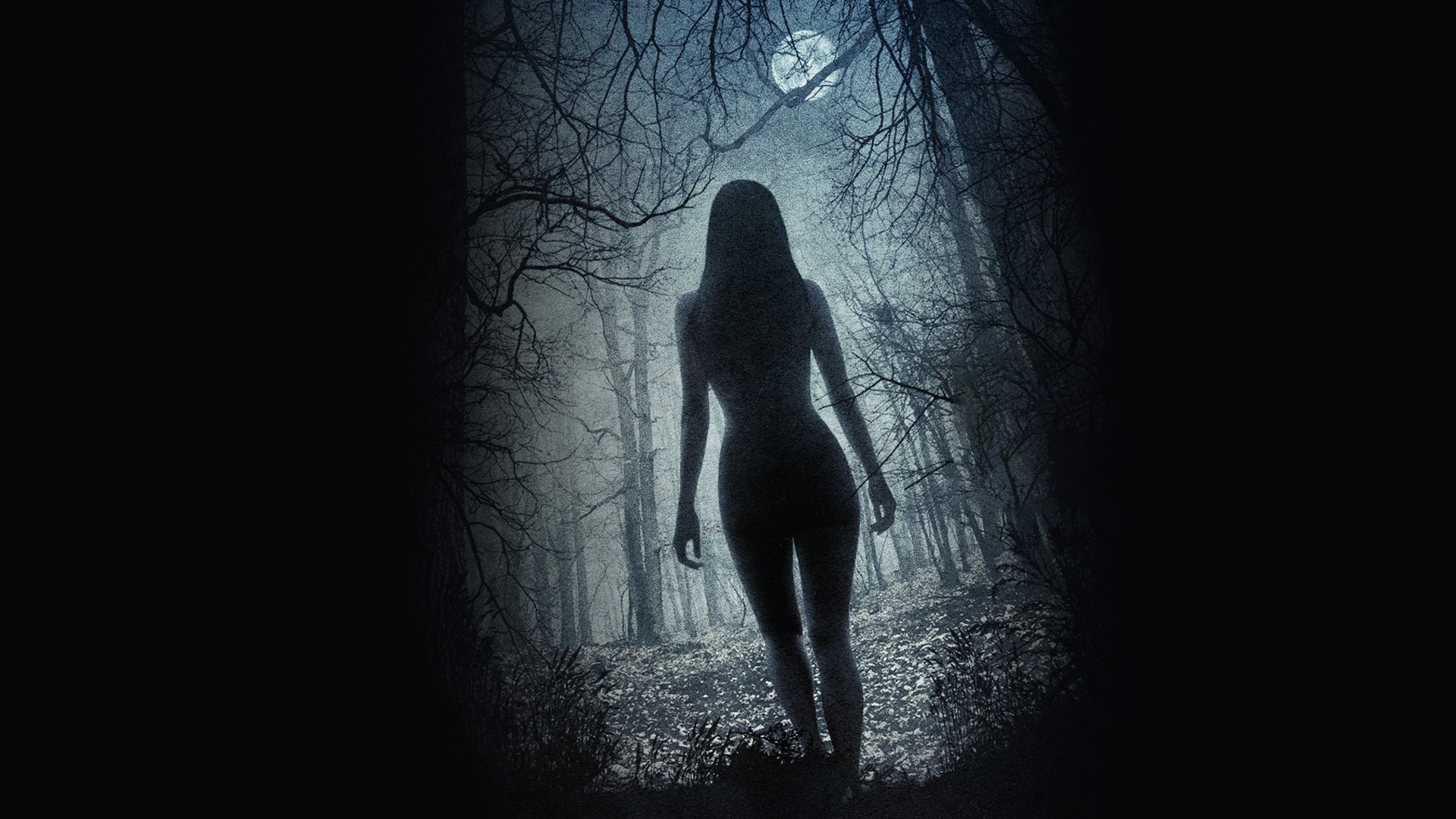 Series photo