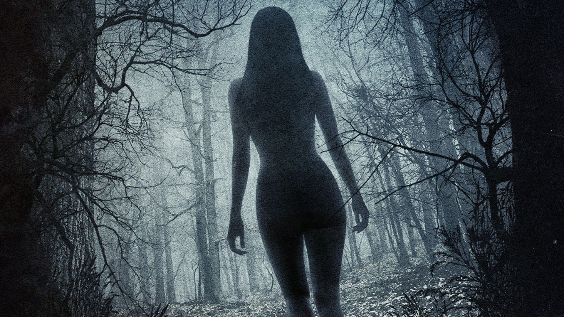 Series photo