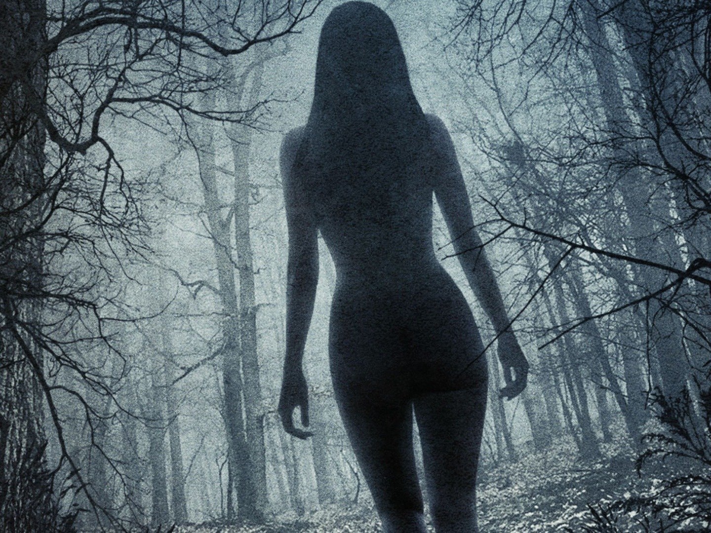 Series photo