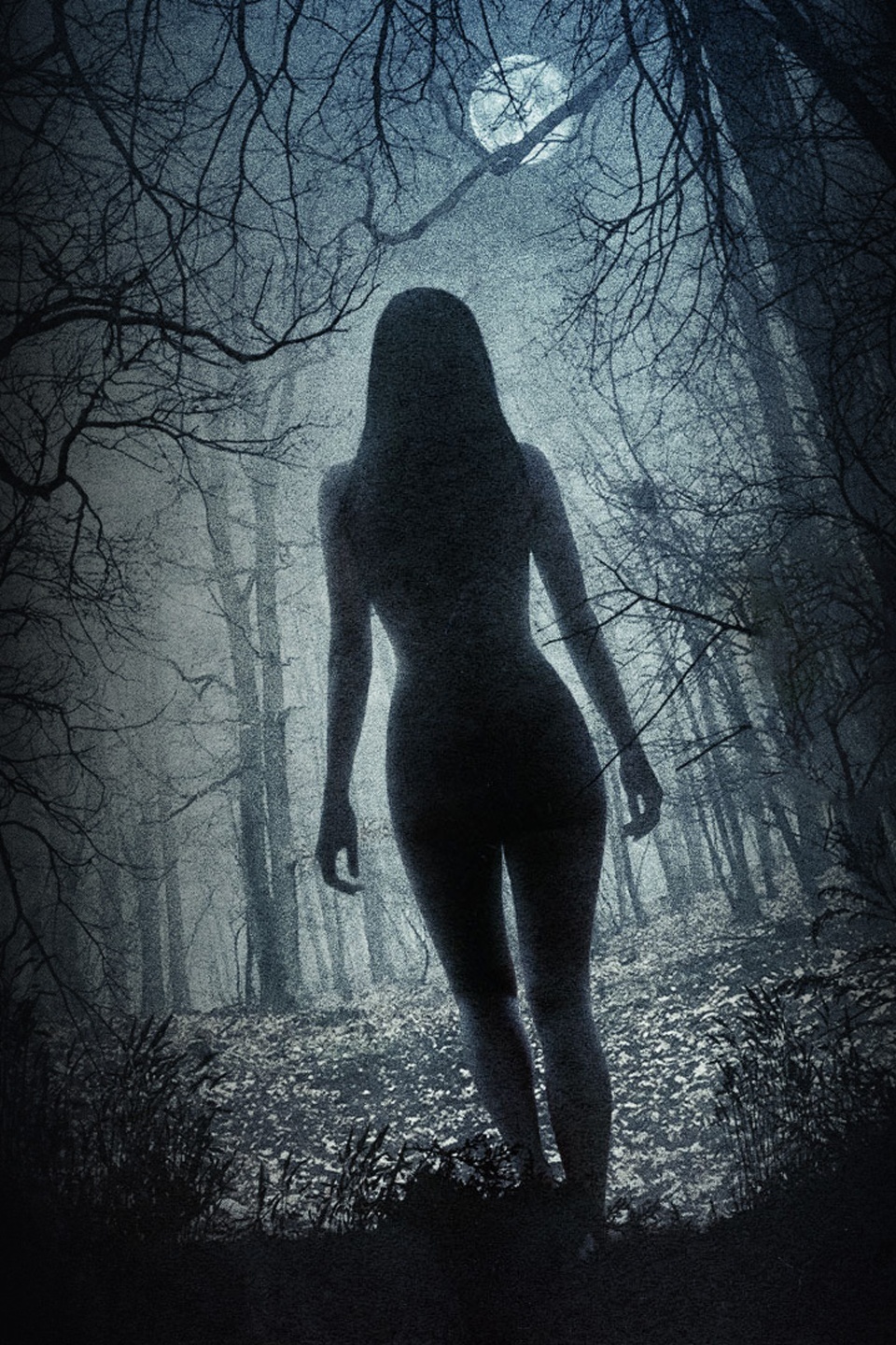 Series photo