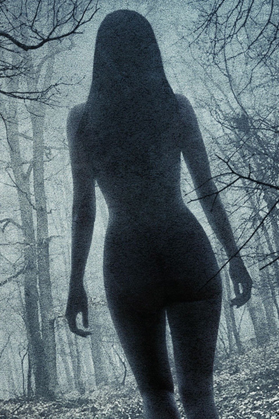 Series photo