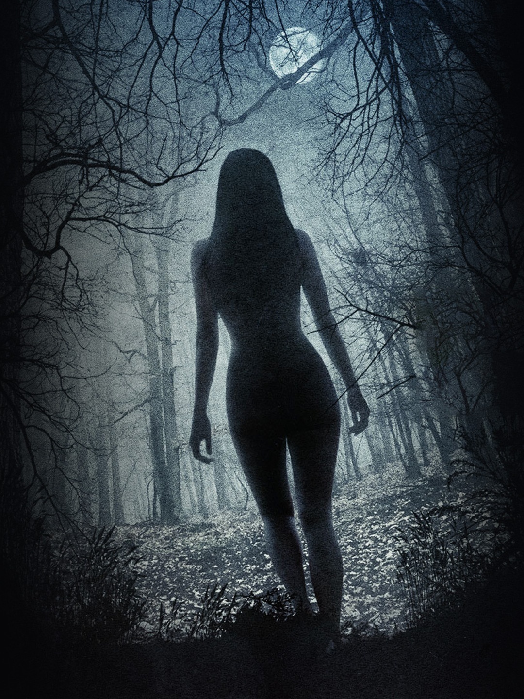 Series photo