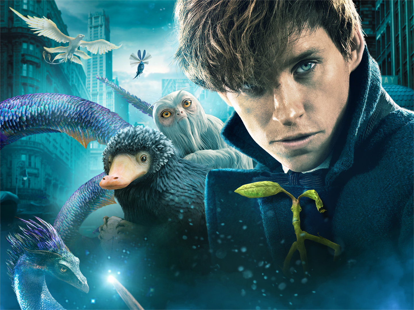 Series photo