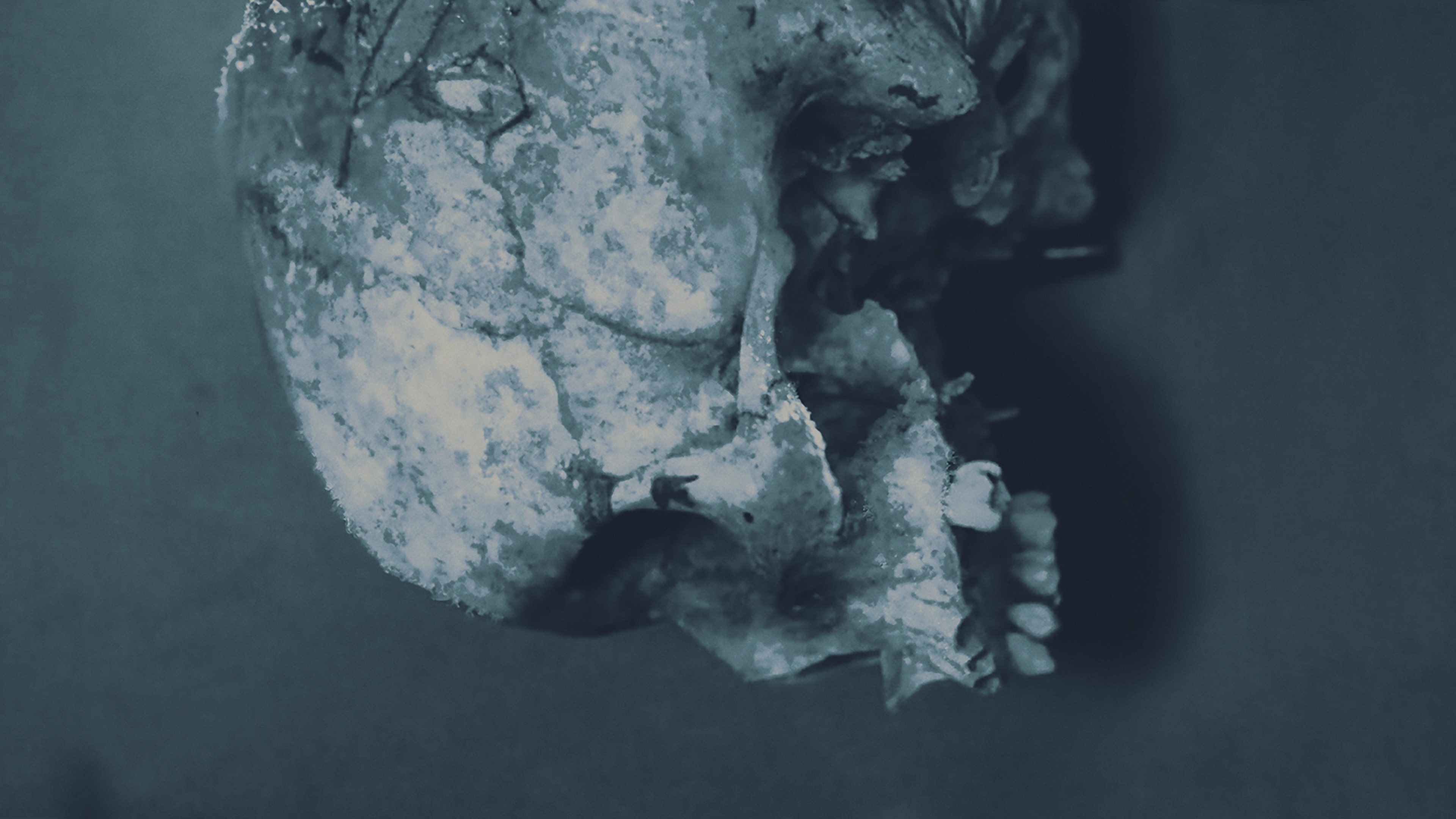 Series photo