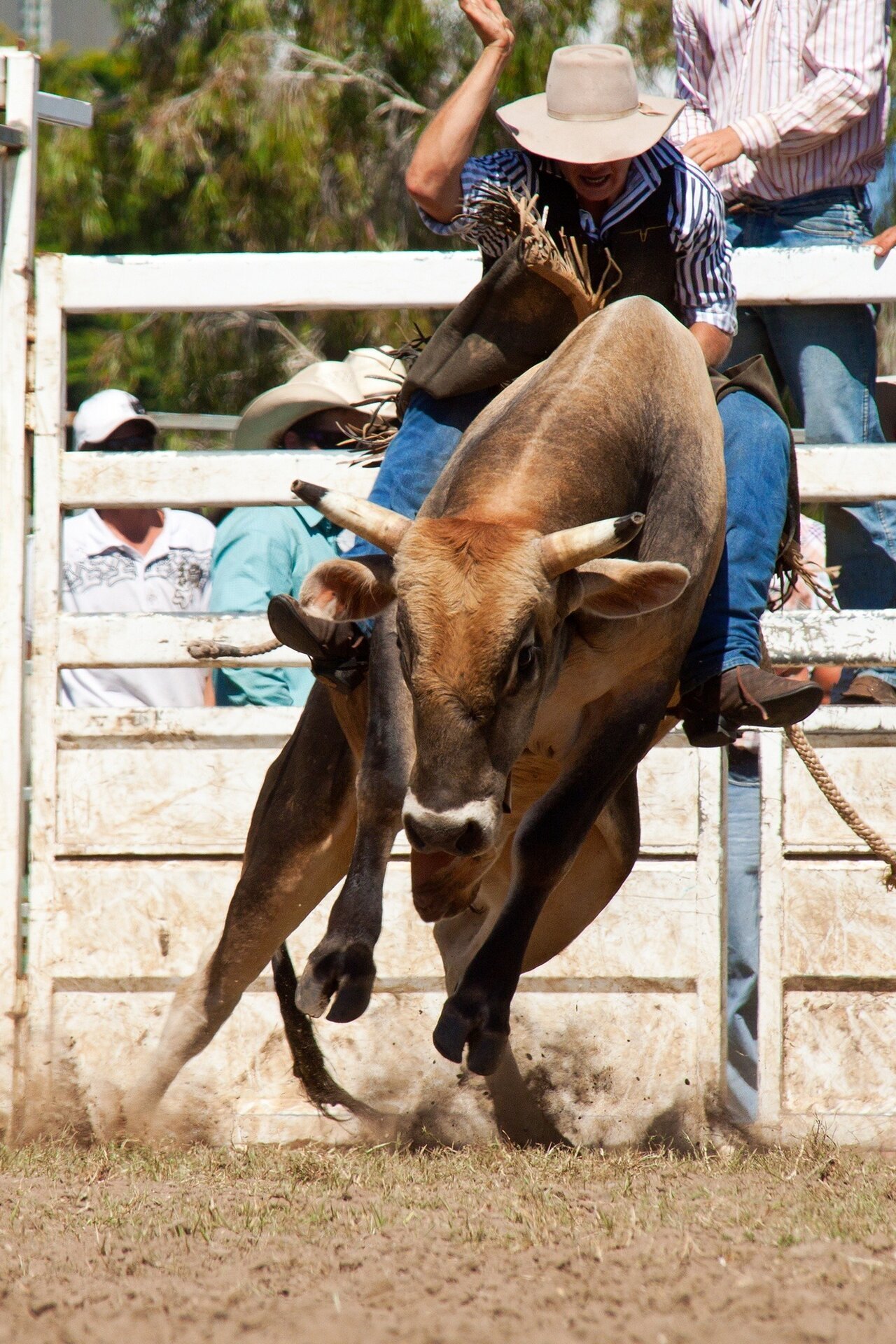 Series photo