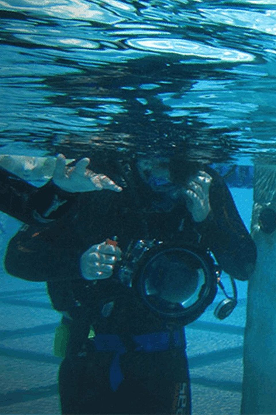 Series photo