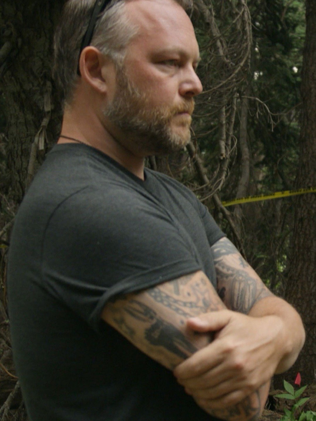 Series photo