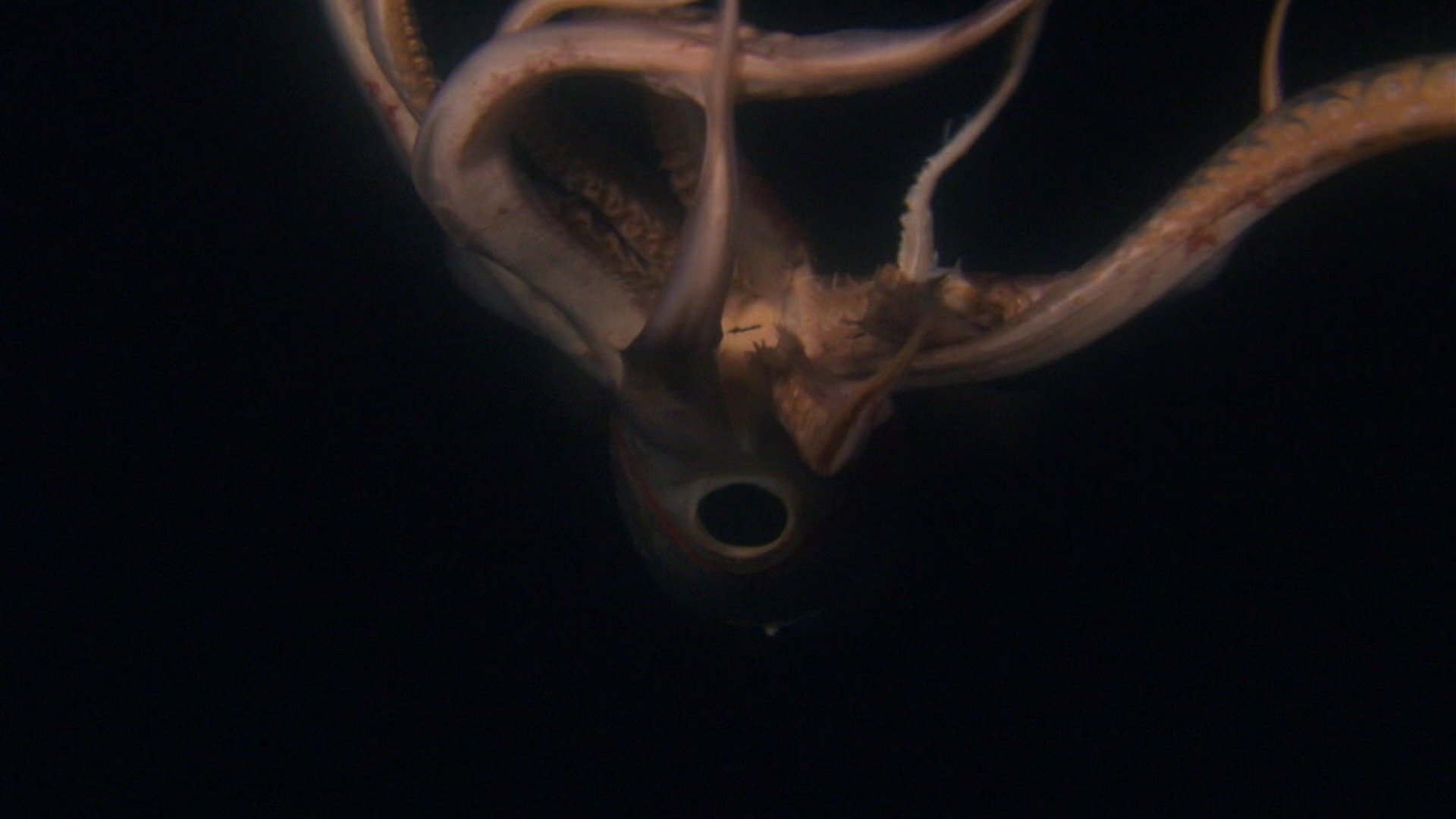 Series photo