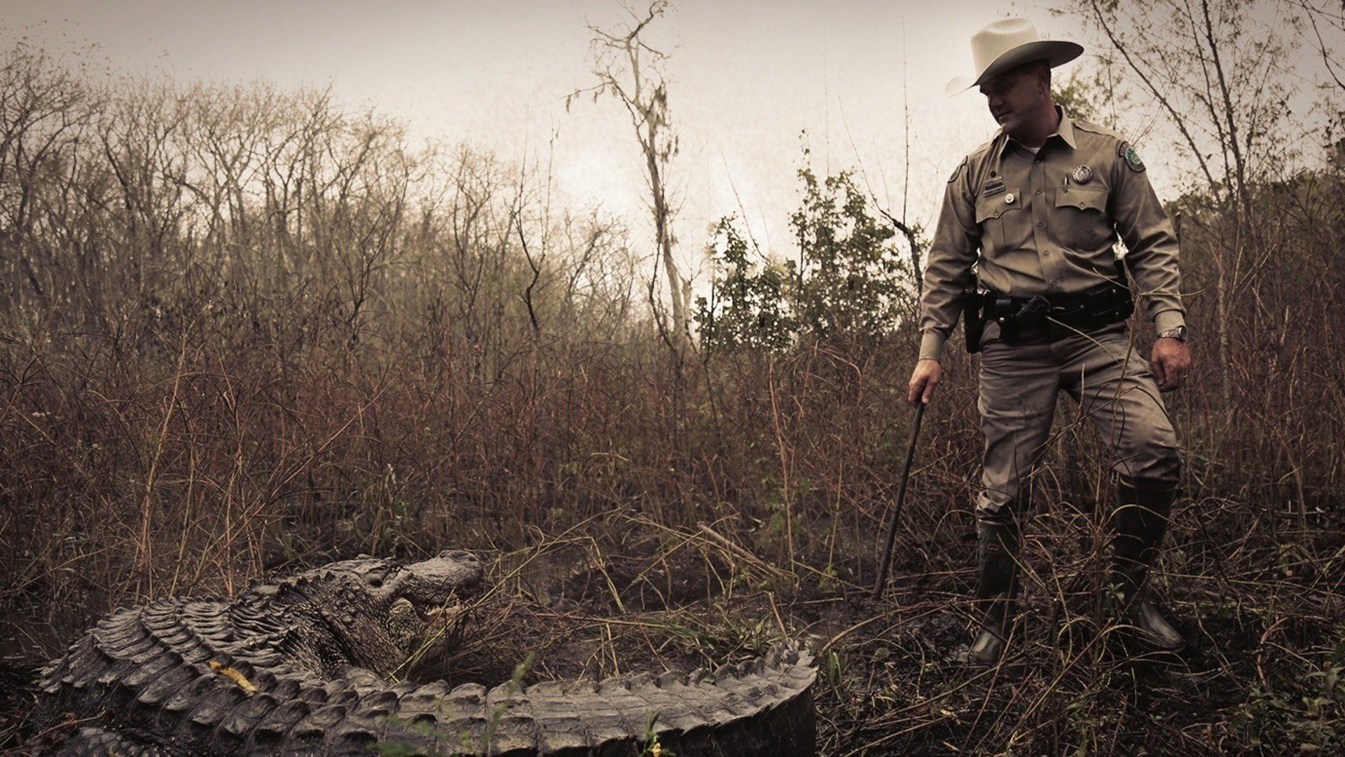 Series photo