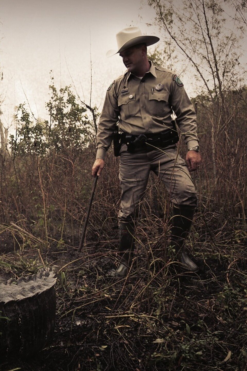 Series photo