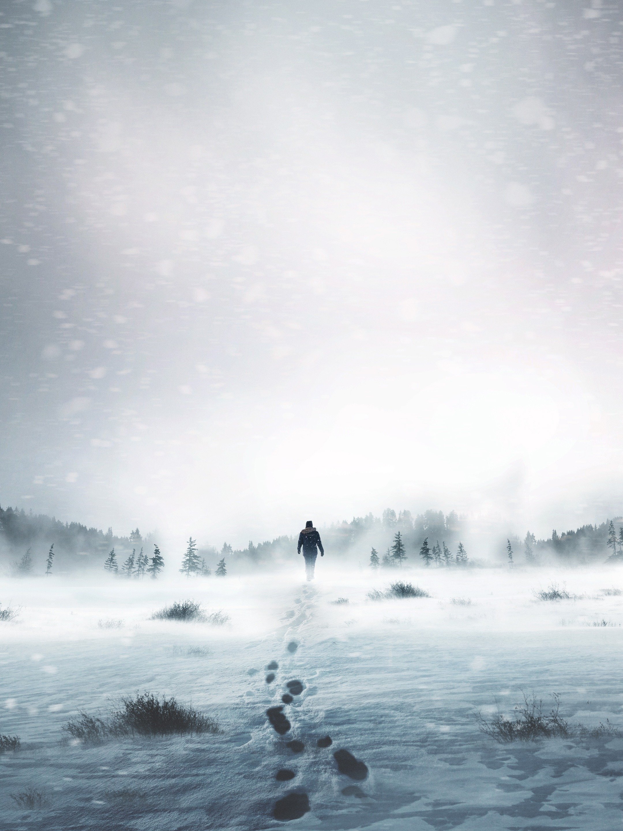 Series photo