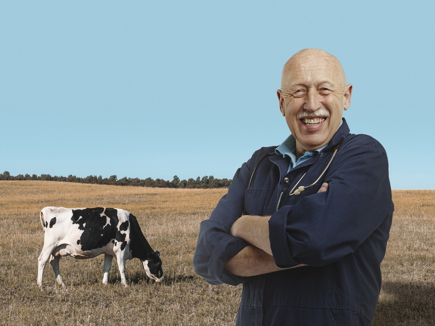 Series photo