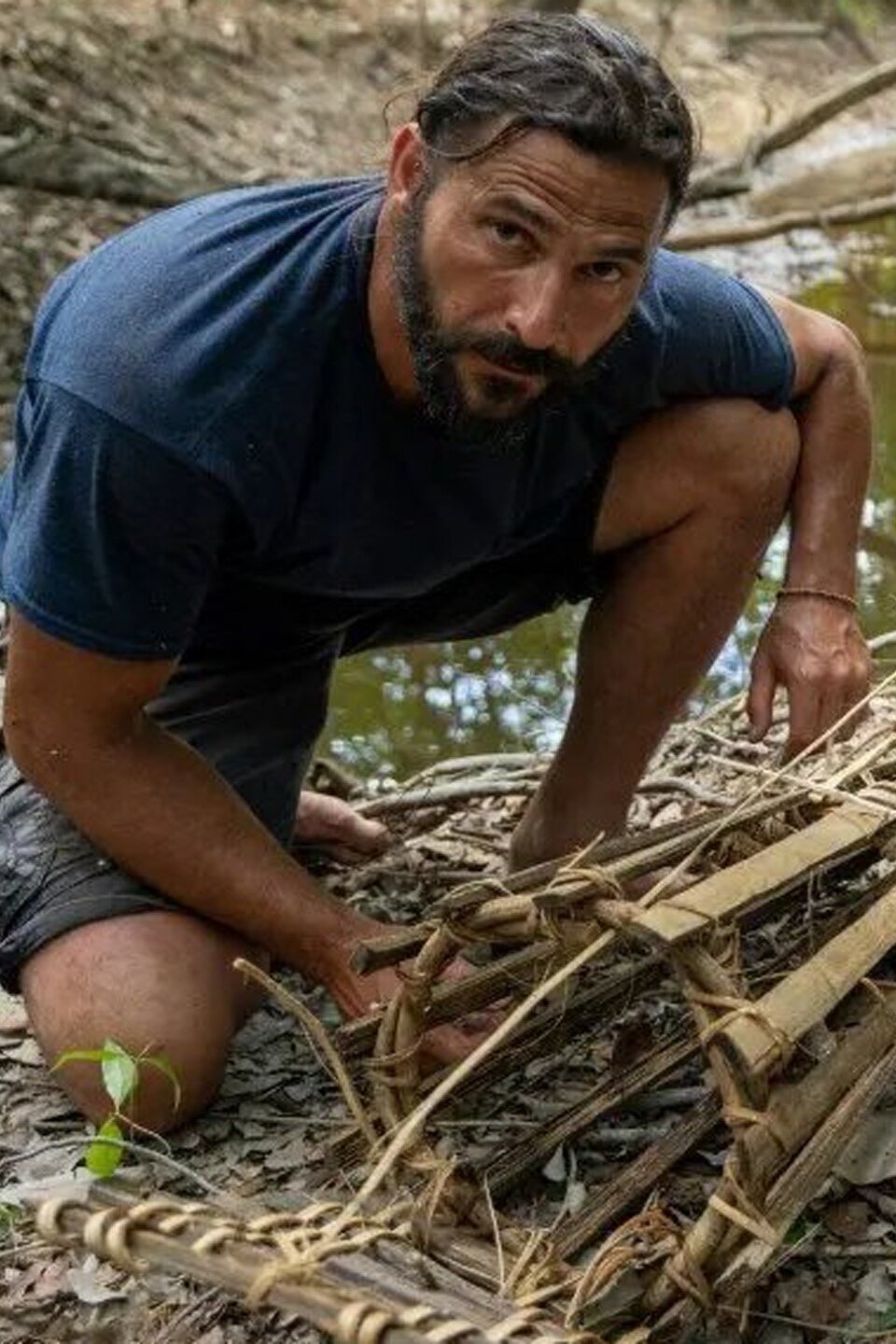Series photo