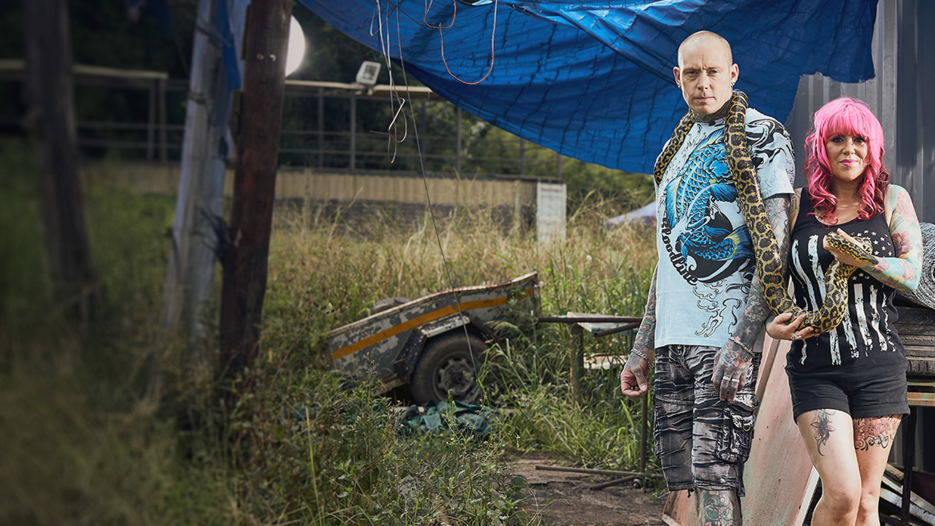 Series photo