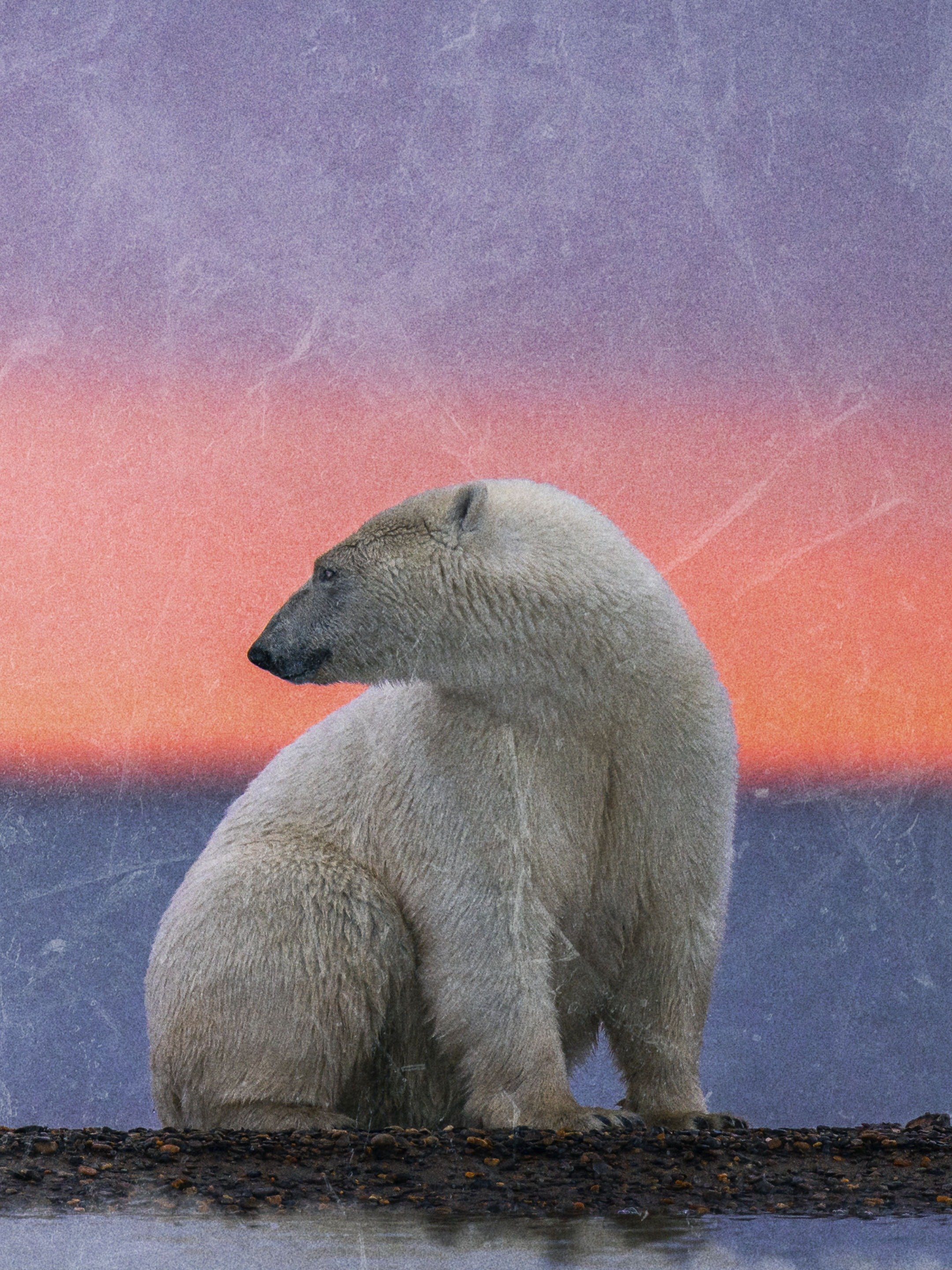 Series photo