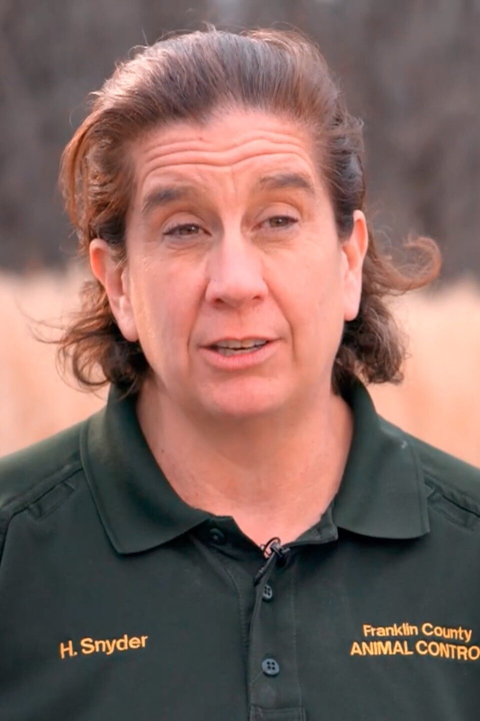 Series photo