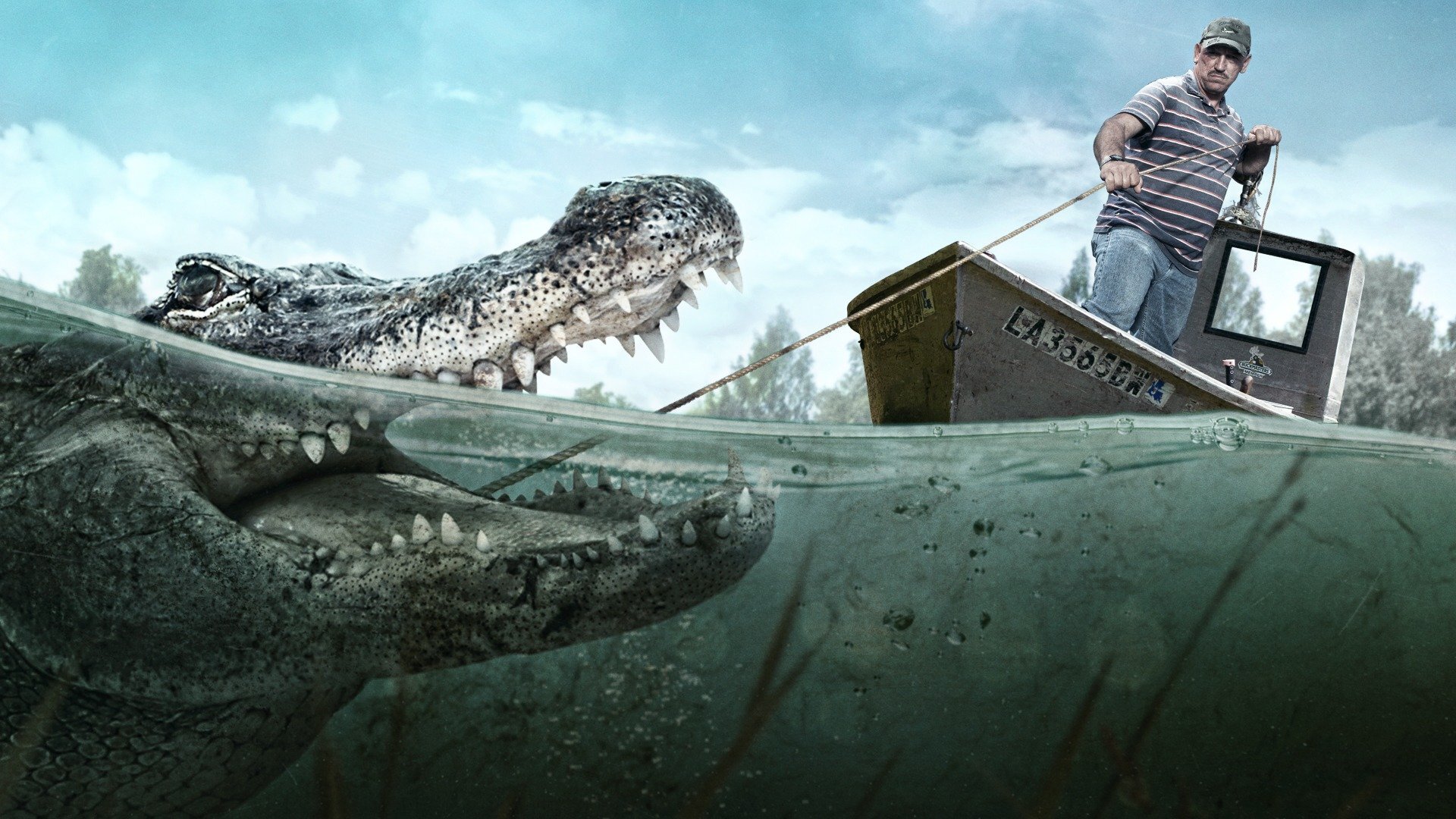 Series photo