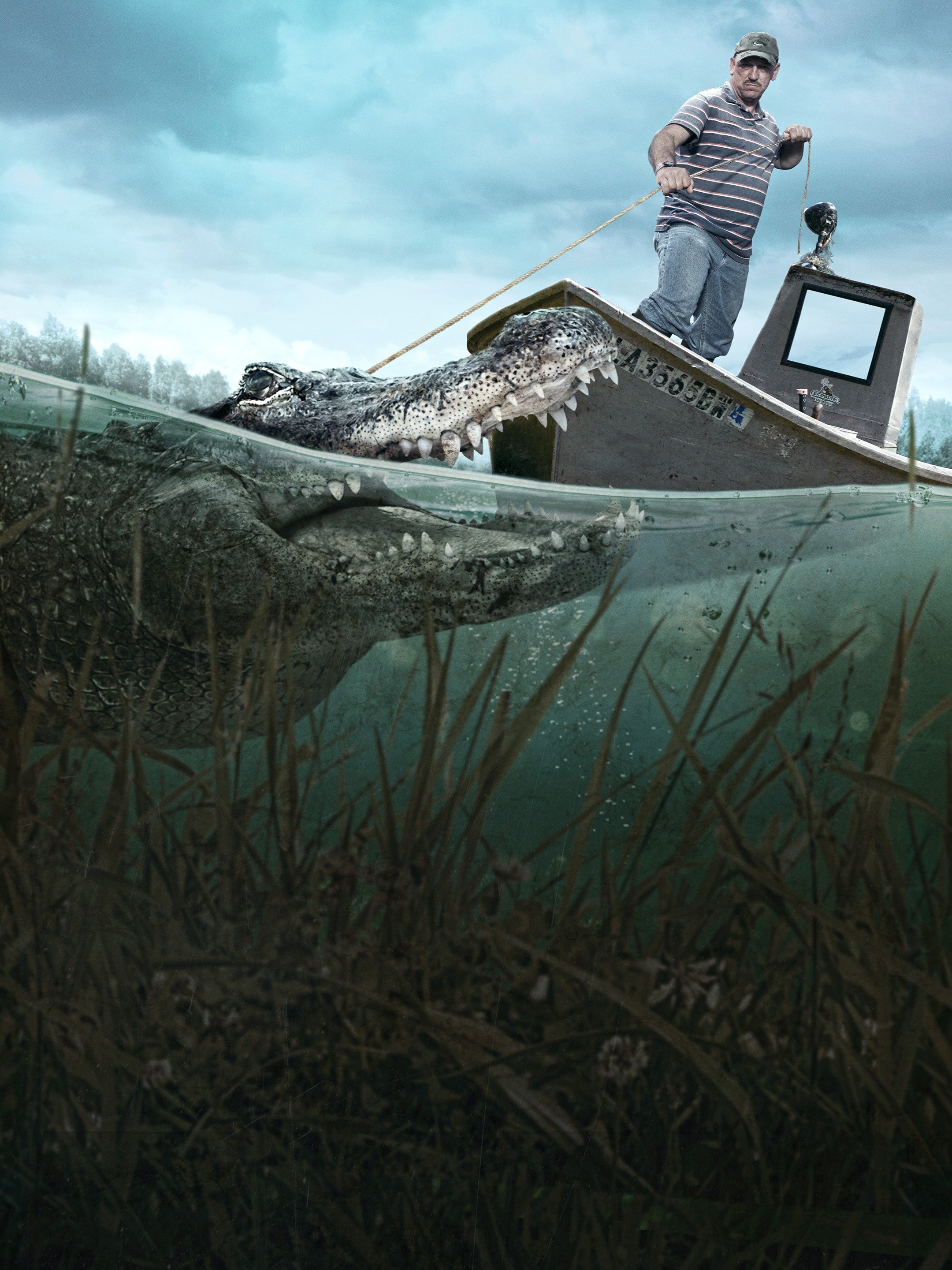 Series photo