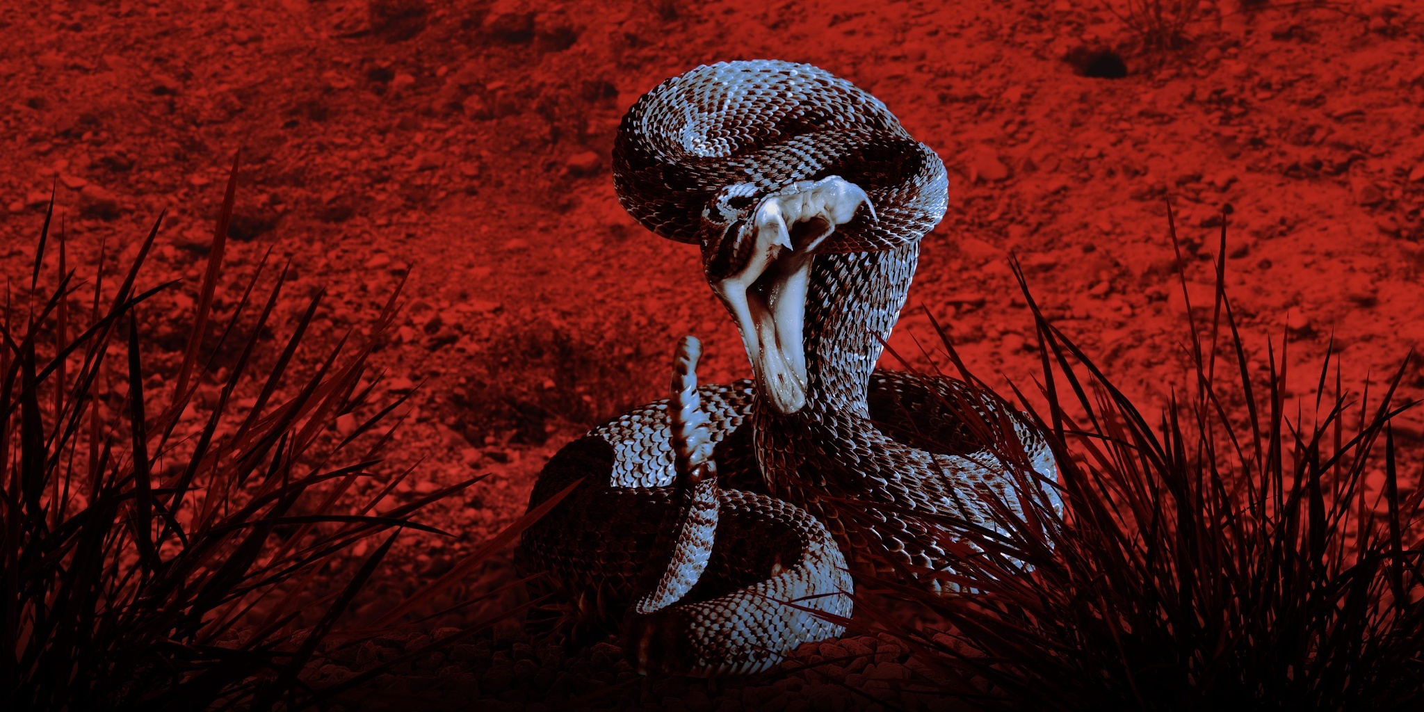 Series photo
