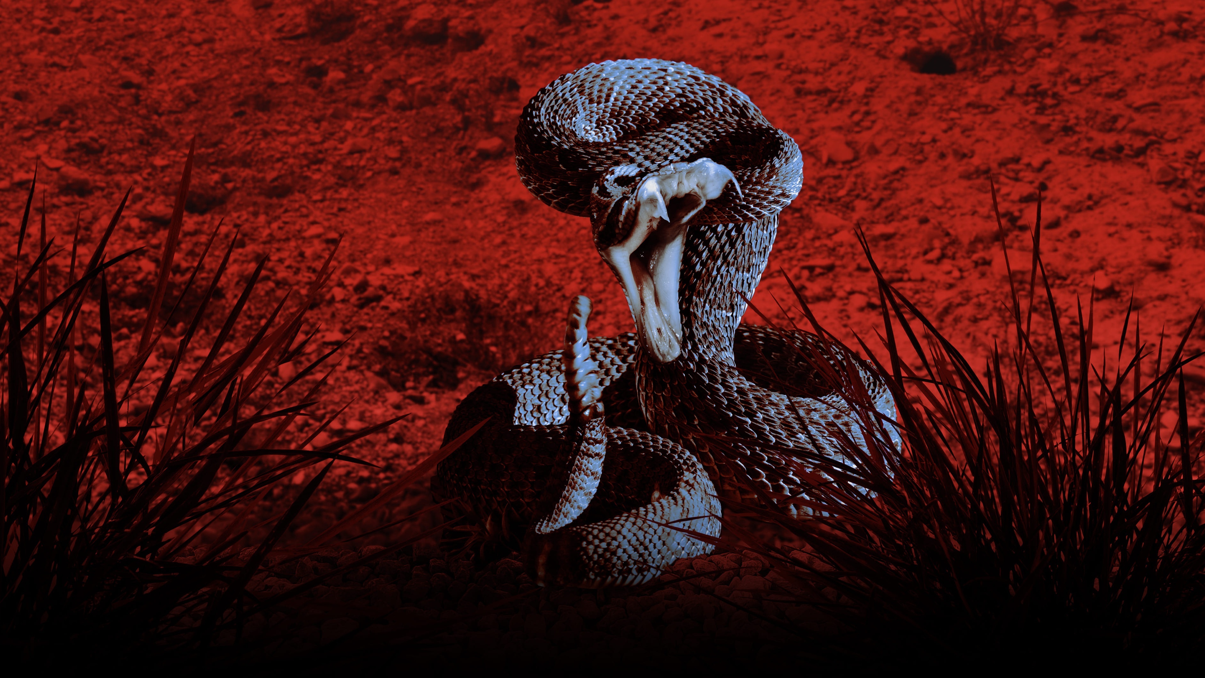 Series photo