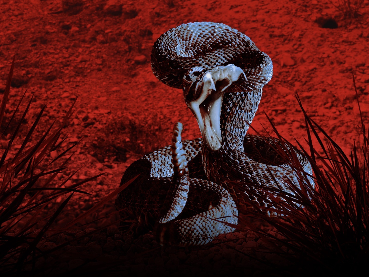 Series photo