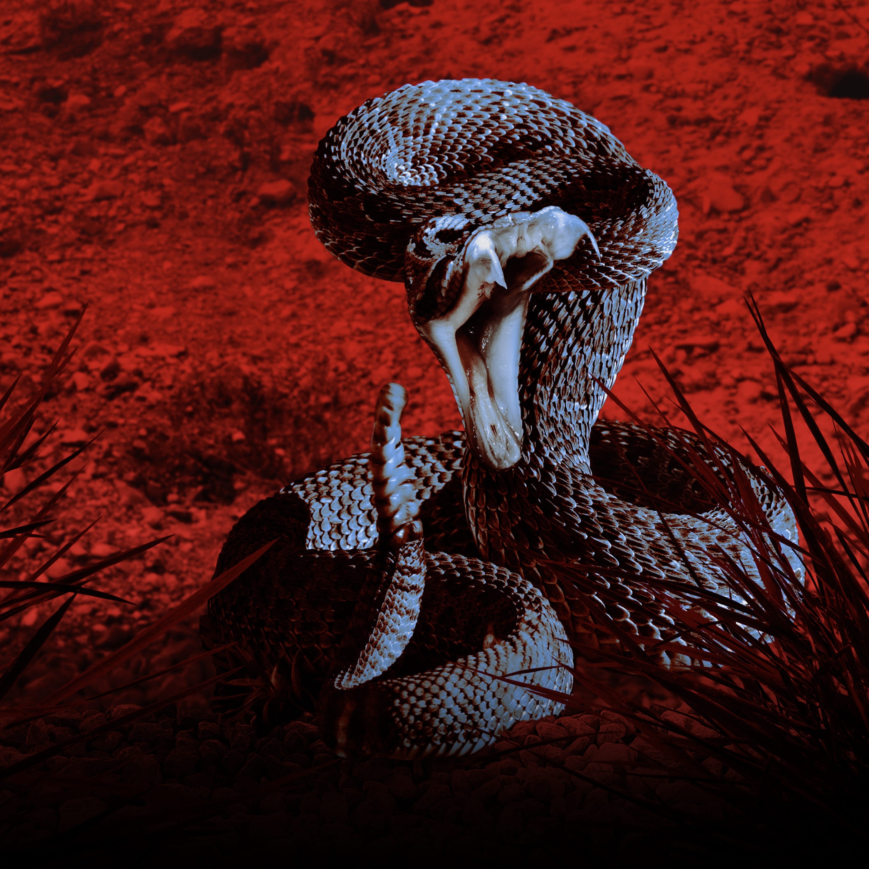 Series photo