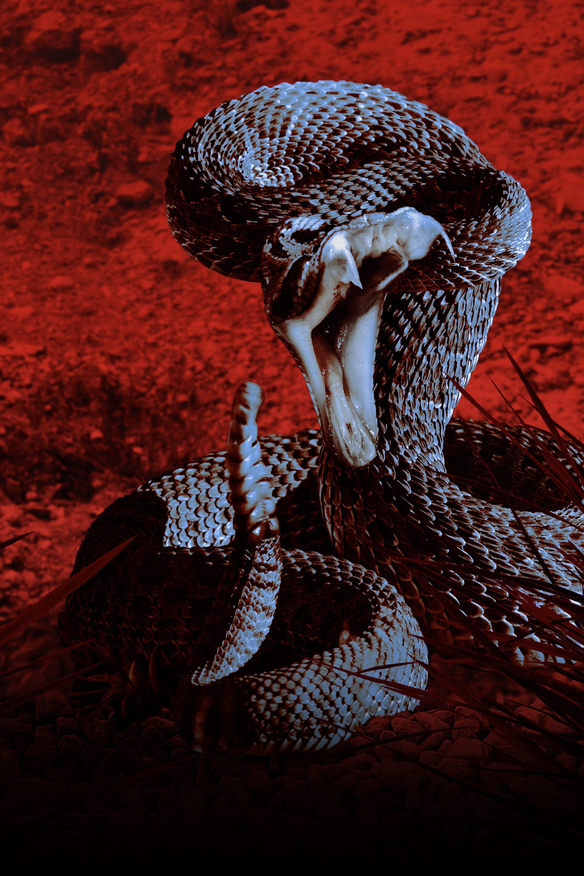 Series photo