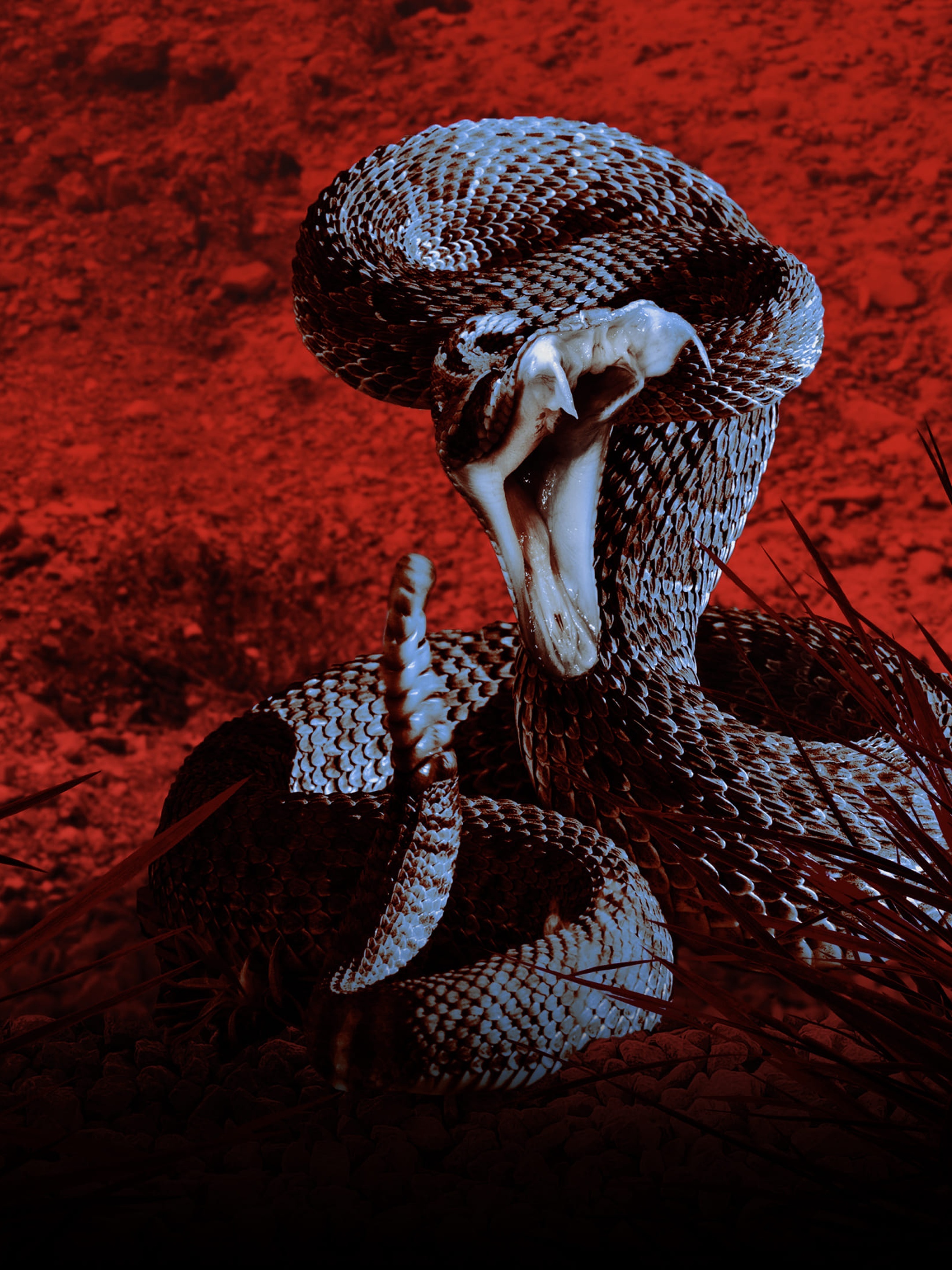 Series photo