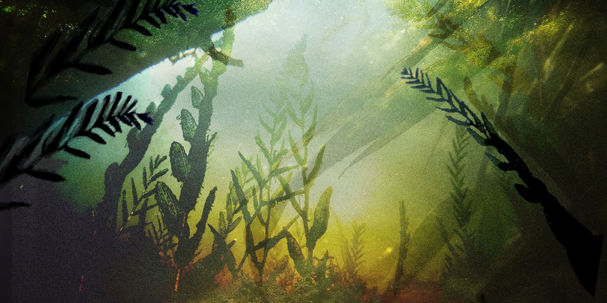 Series photo