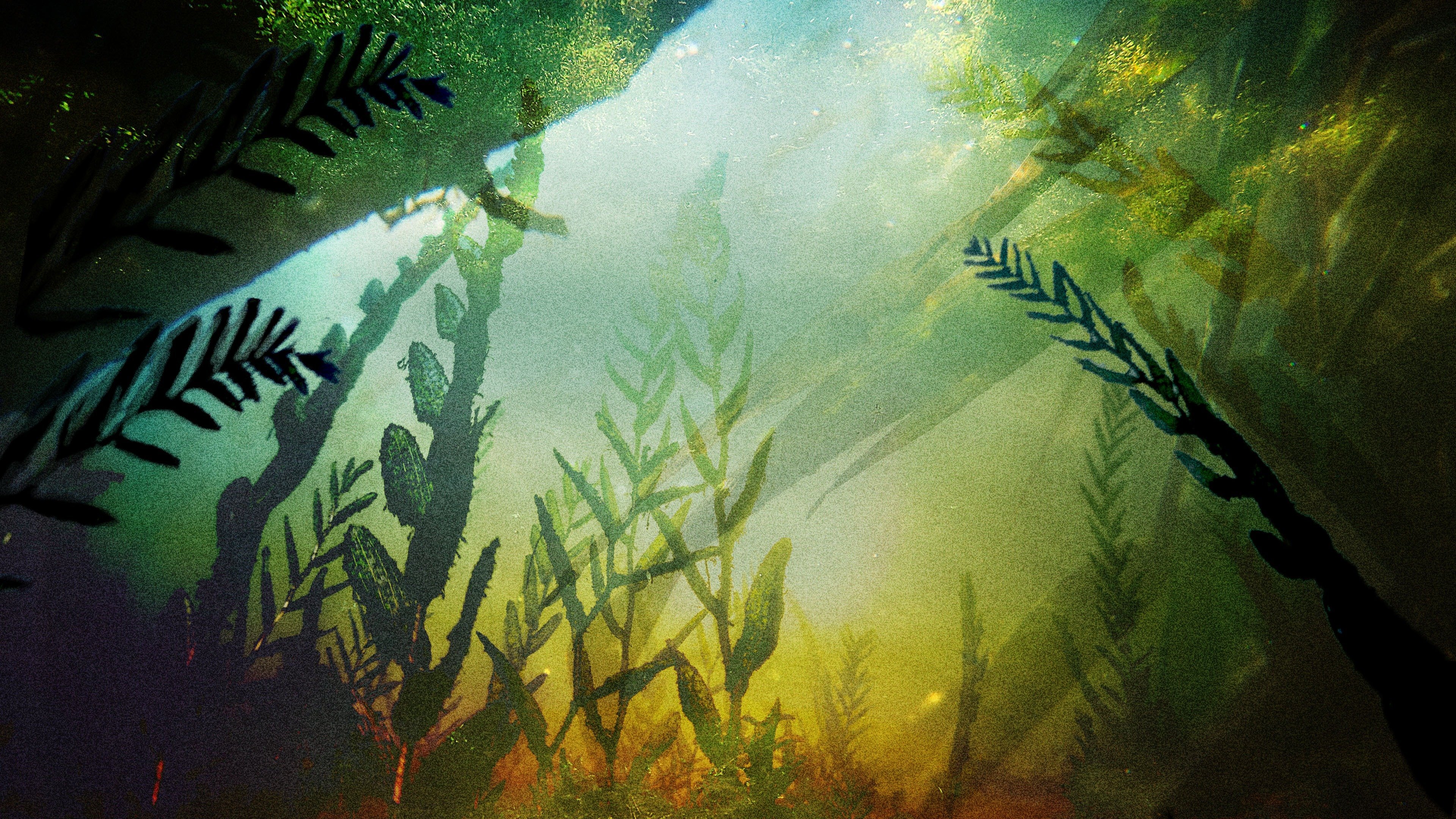 Series photo