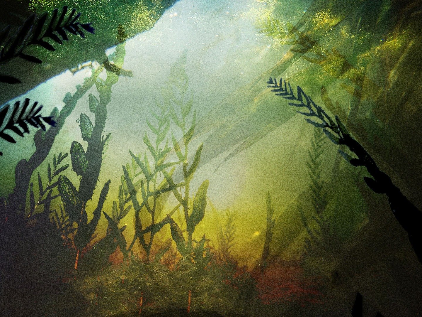 Series photo