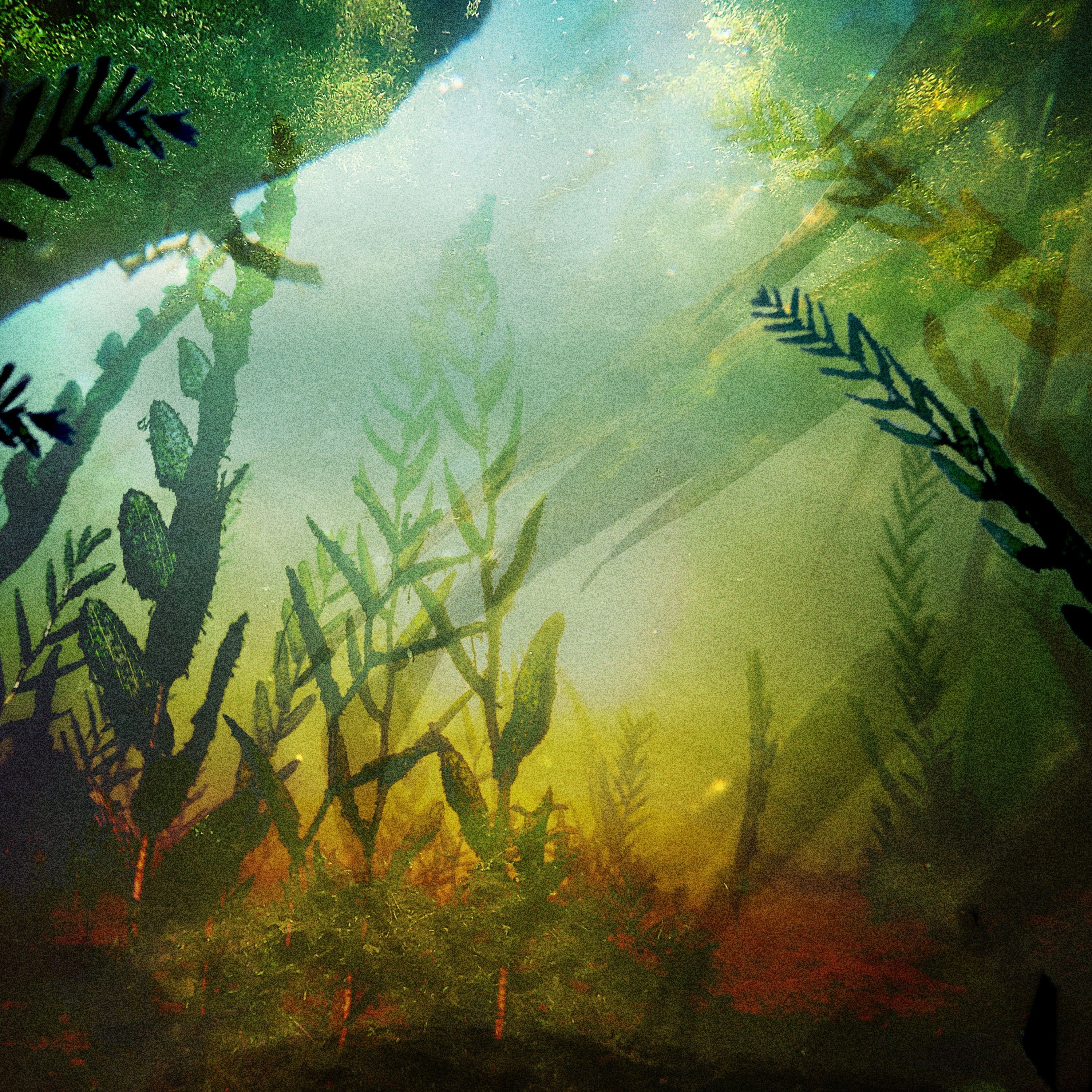 Series photo