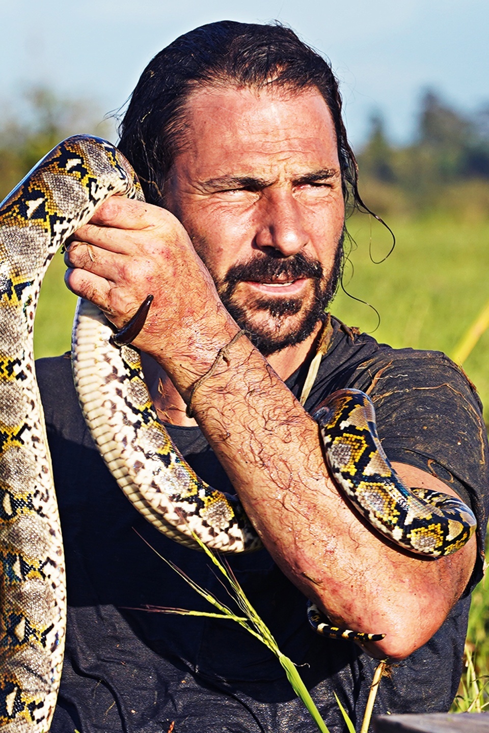 Series photo