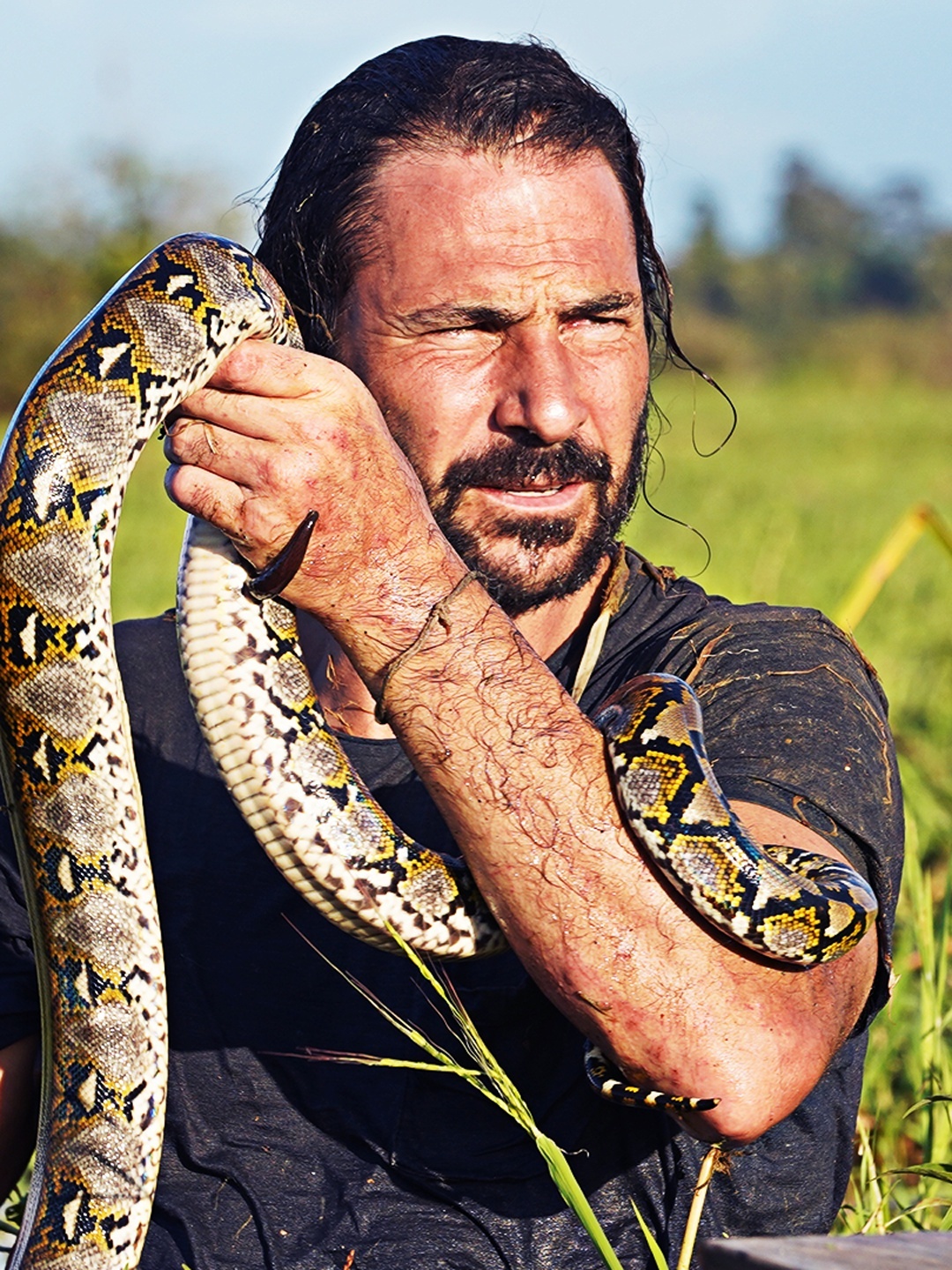 Series photo