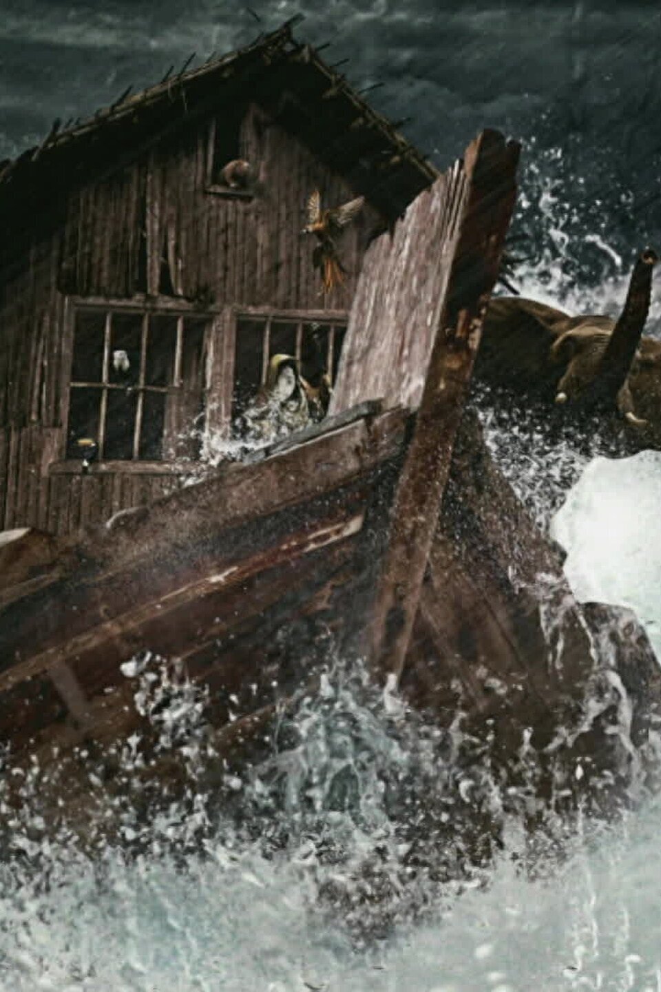 Series photo