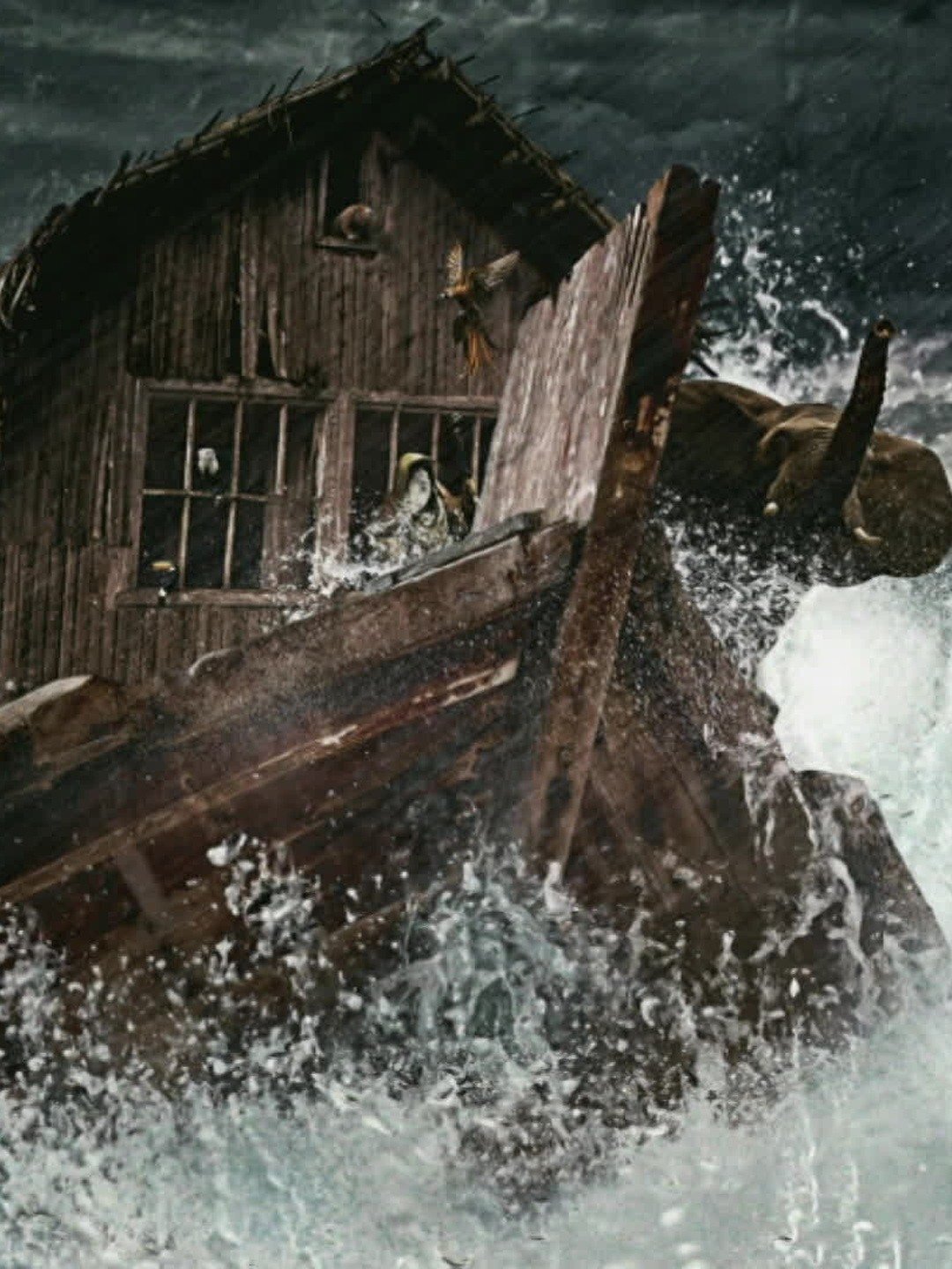 Series photo
