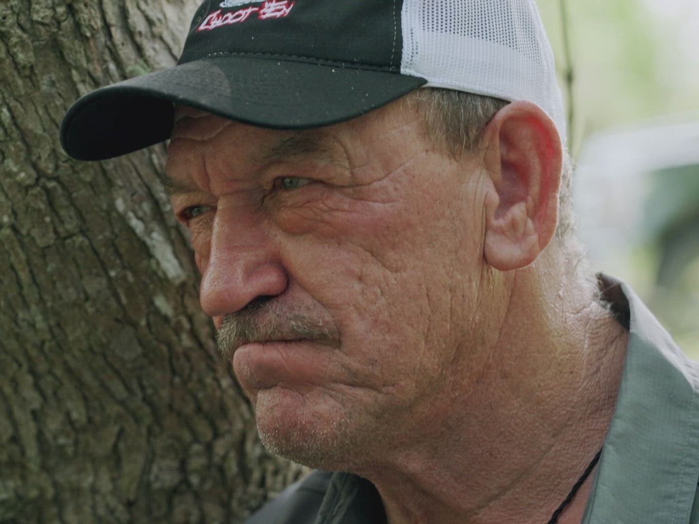 Series photo