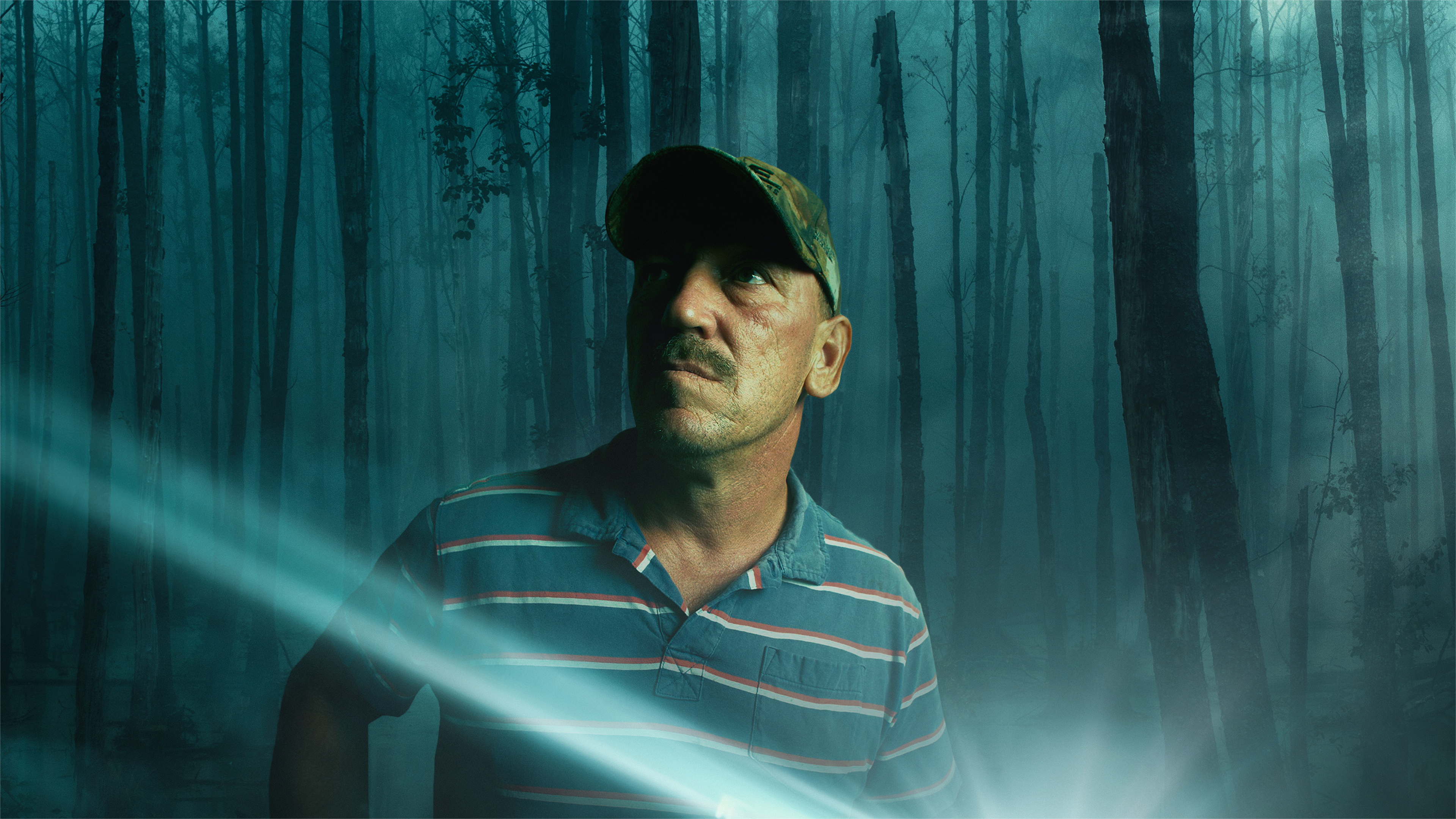 Series photo