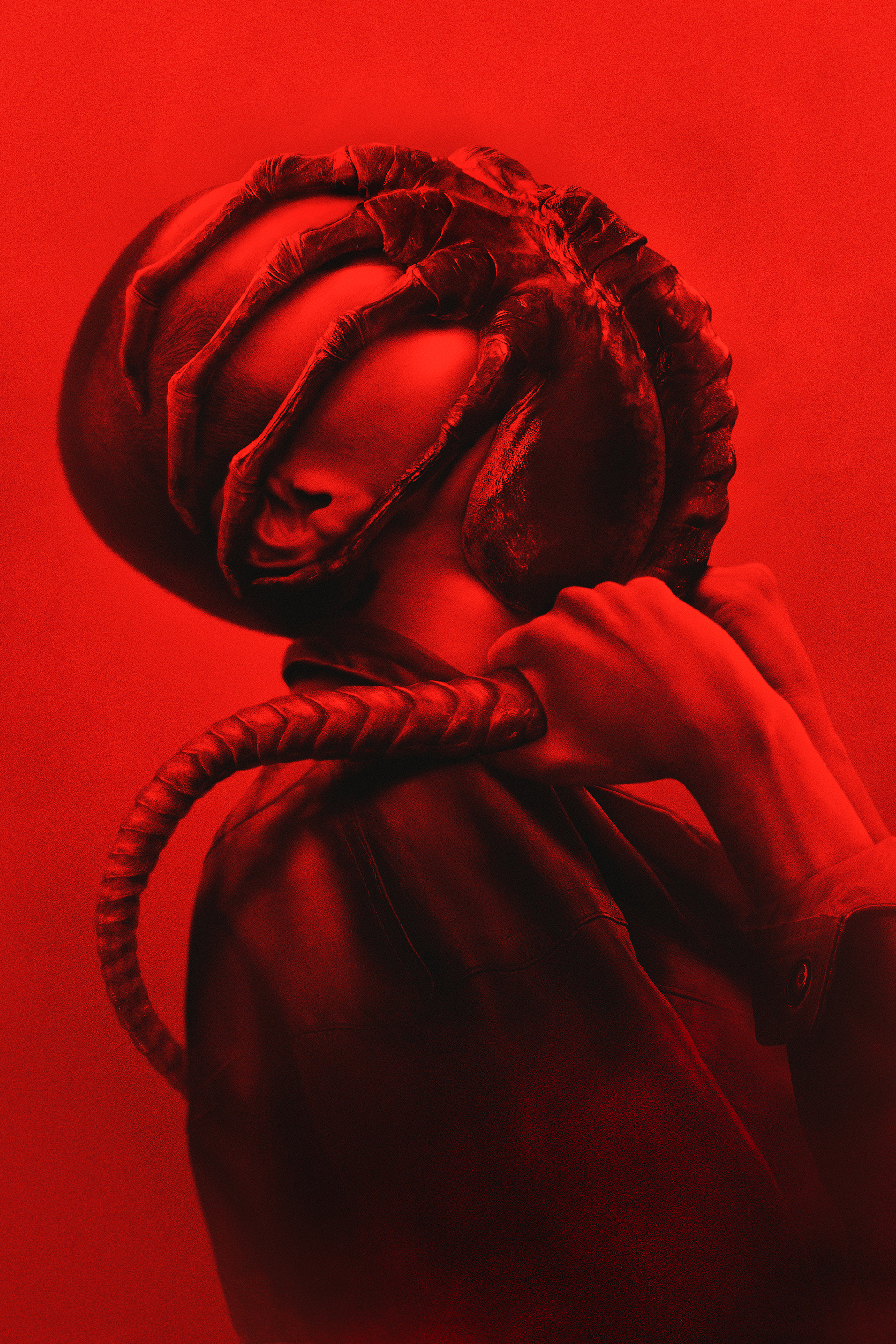 Series photo