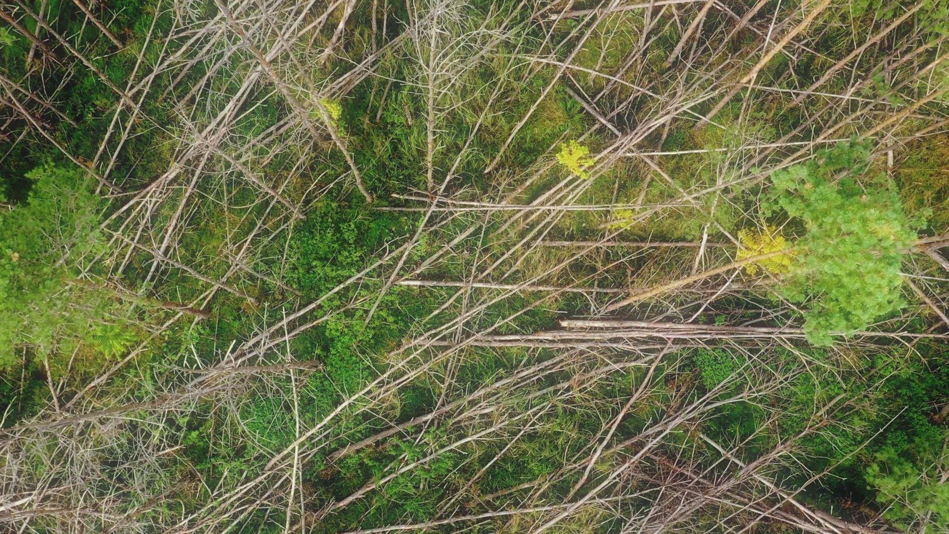 Series photo