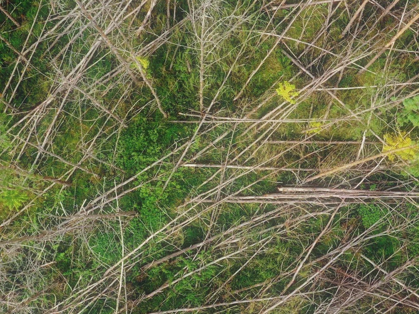 Series photo