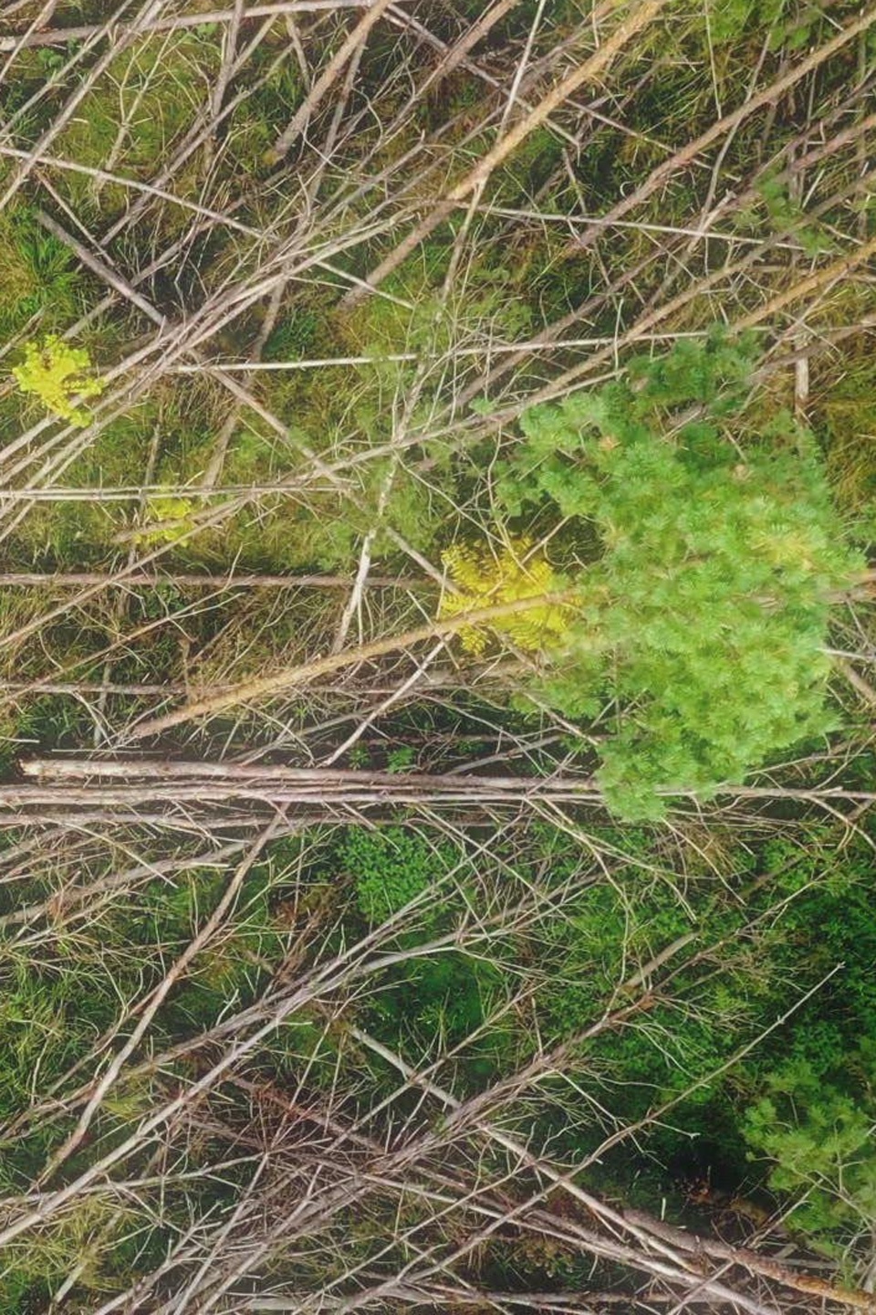 Series photo