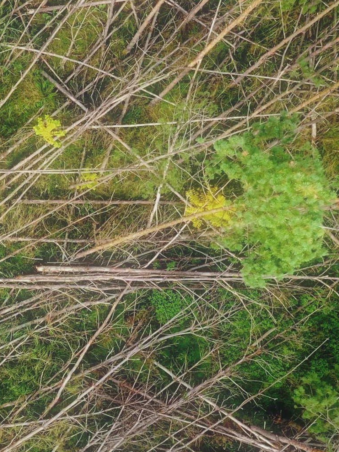 Series photo