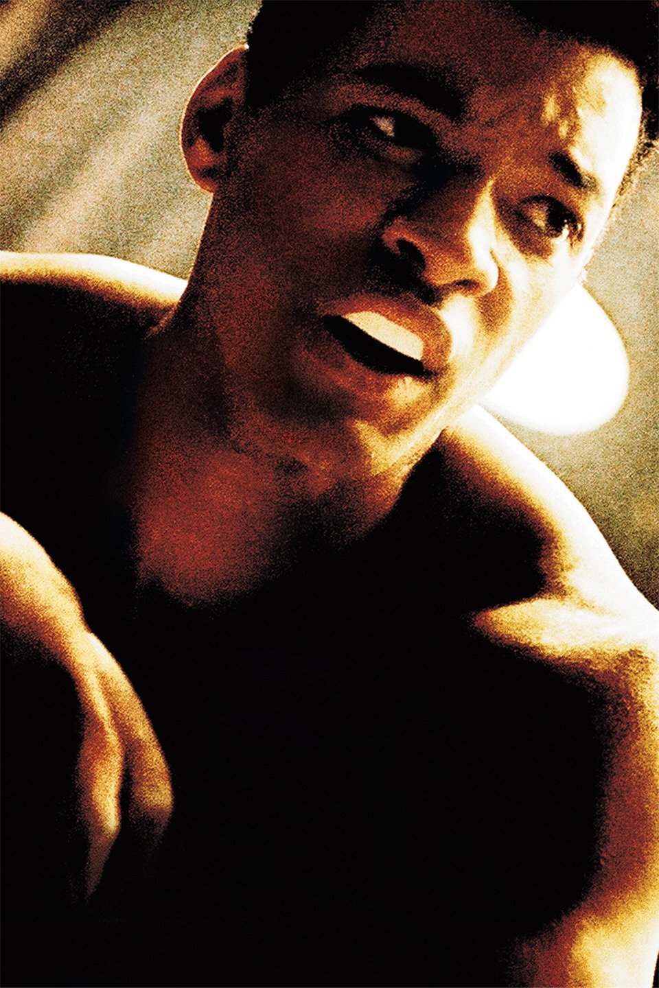 Series photo