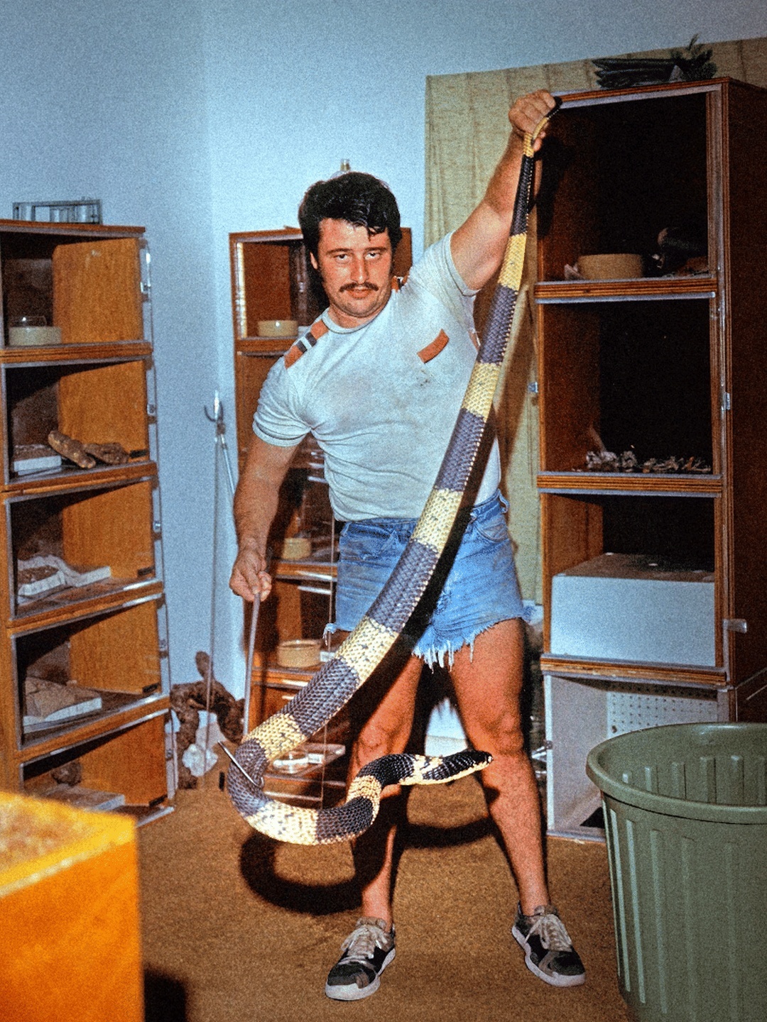Series photo