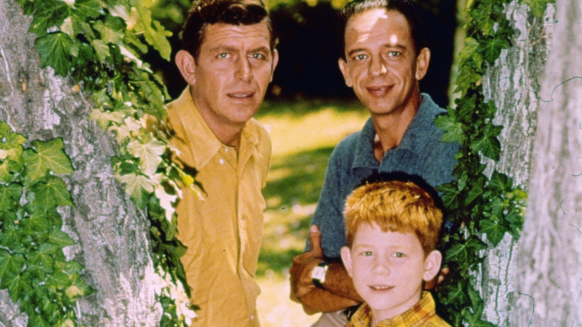 Series photo
