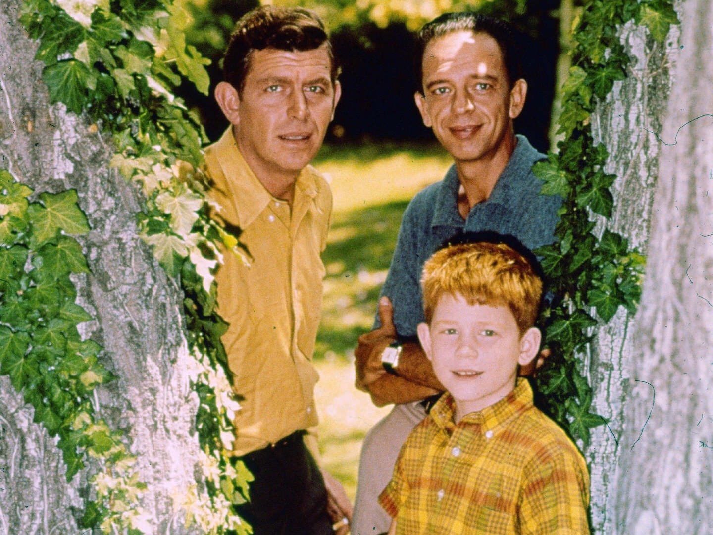 Series photo