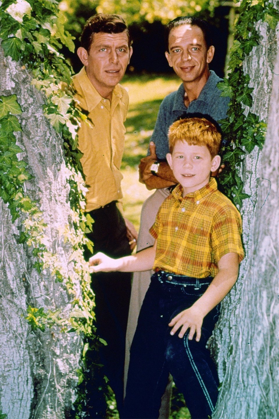 Series photo