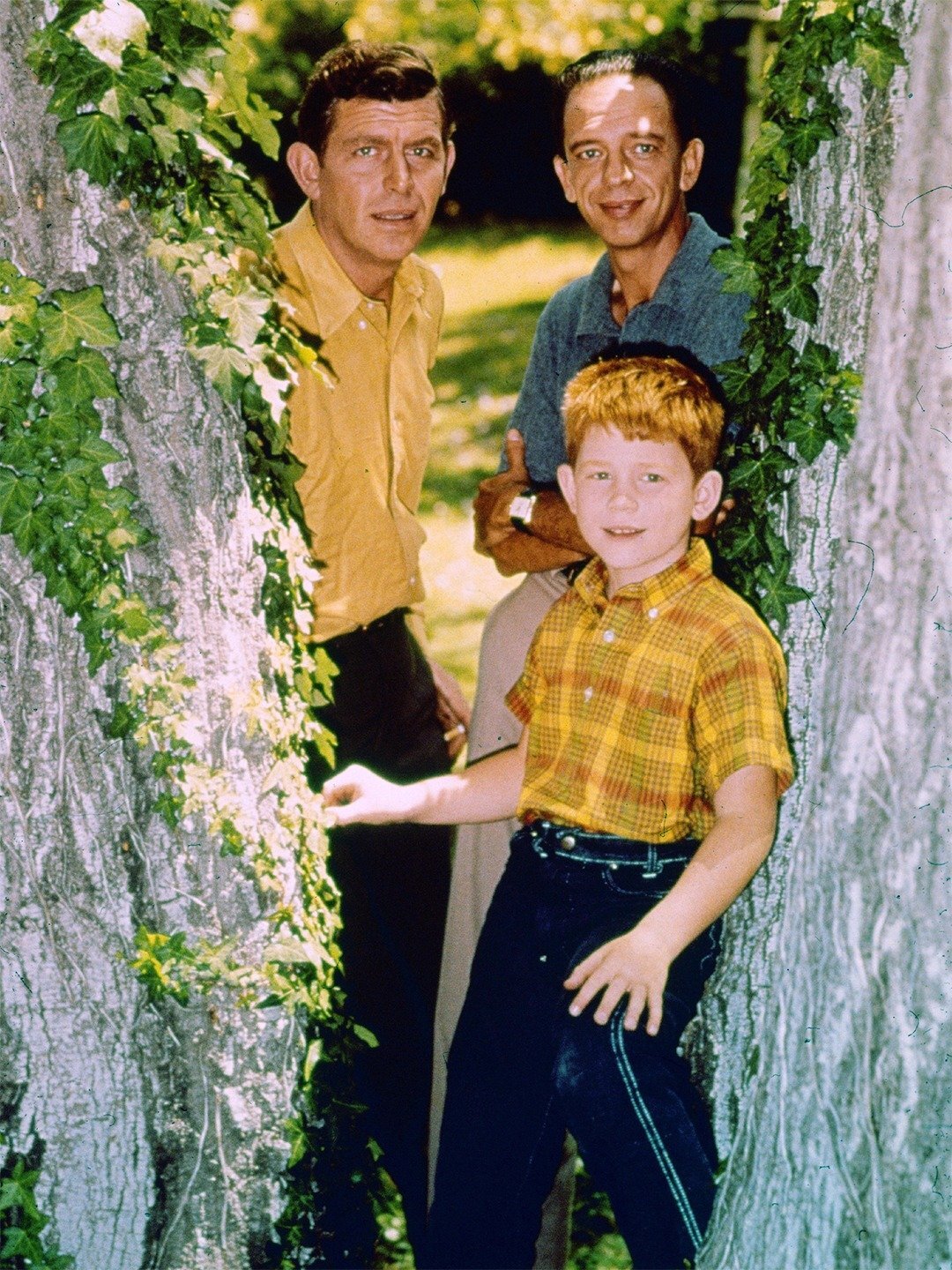 Series photo